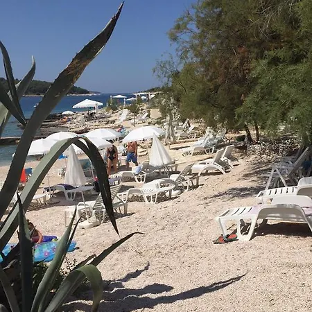 Zen * Rogoznica (Sibenik-Knin)